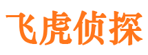 临川侦探